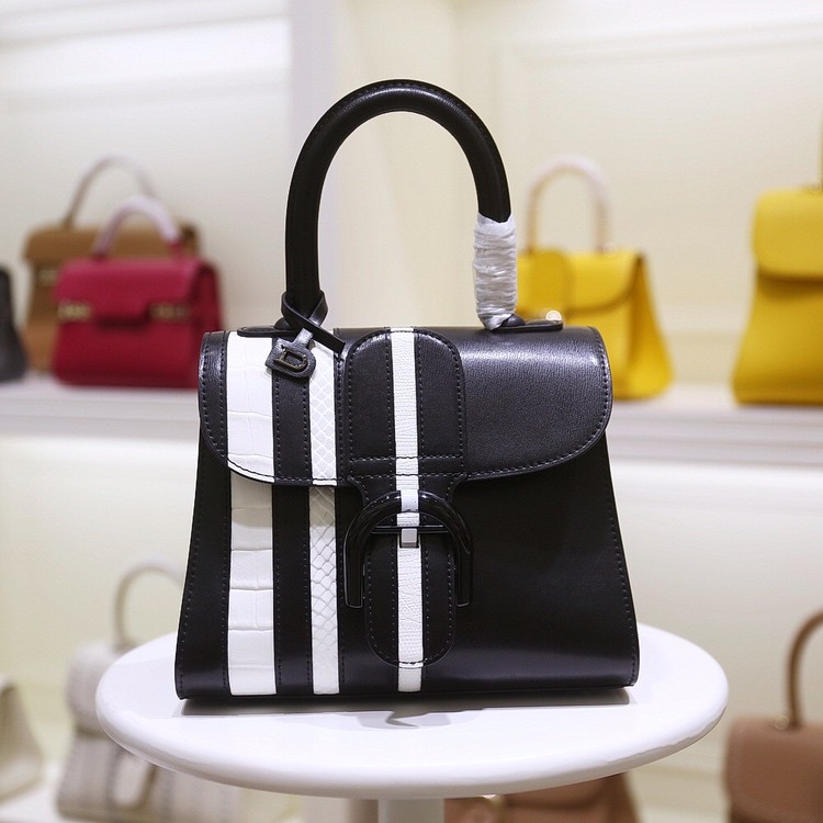 DELVAUX 델보 브릴리언트(Brillant) 미니 백