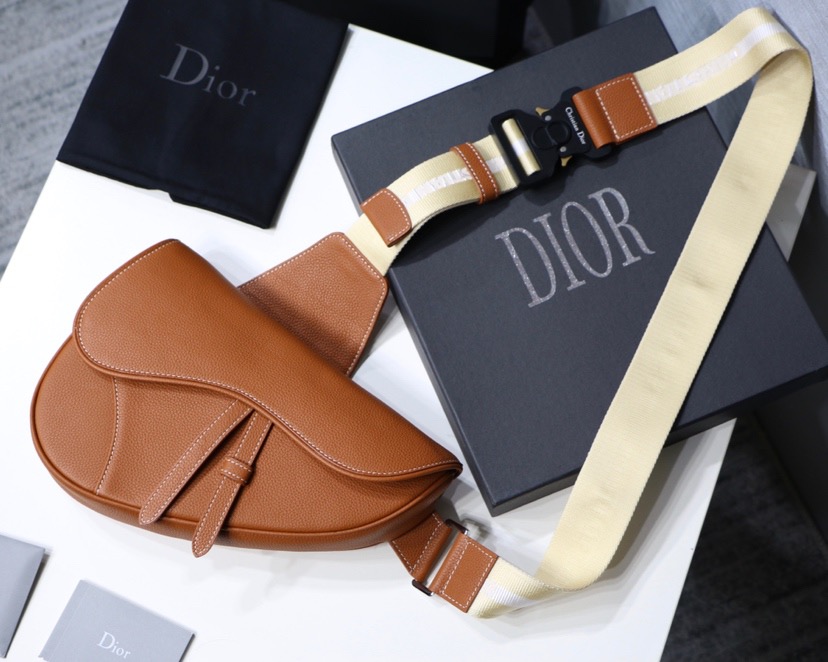 DIOR 디올 체스트백