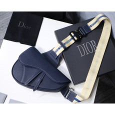 DIOR 디올 체스트백